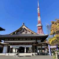 Magnificent Buddhist Temples in Zojo-ji