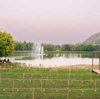 Chan nature cafe’