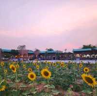 คาเฟ่ไสตล์​ต่างประเทศ