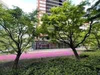 東京まだまだ桜満喫できるシバザクラ
