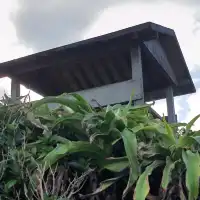 看海發呆，蘭嶼處處是涼亭。