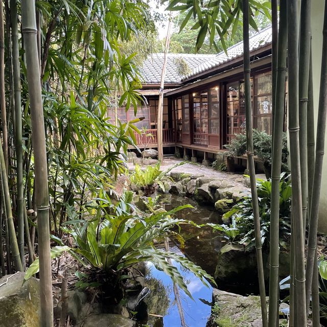 造訪原始竹林的陽明山咖啡廳