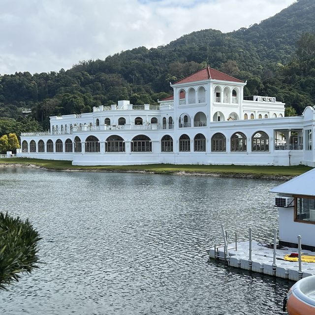 大埔小白鷺