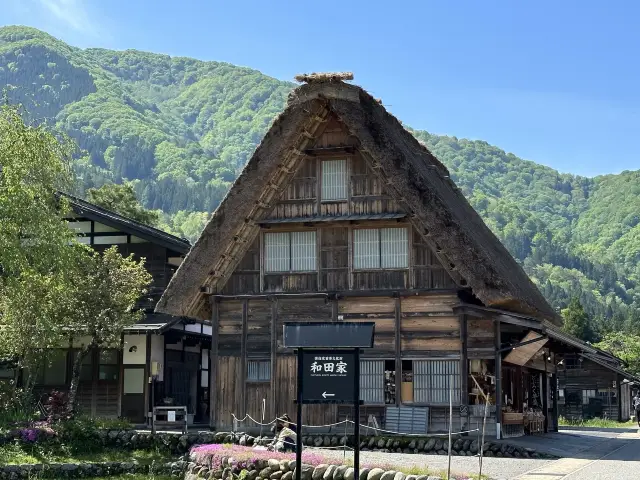 Fairytale-like thatched houses 