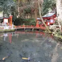 日本的夏天總是那麽的詩情畫意，無數原鄉原味的日本元素編織成日本美麗的夏季。日本人傳統的消夏流水素麵。