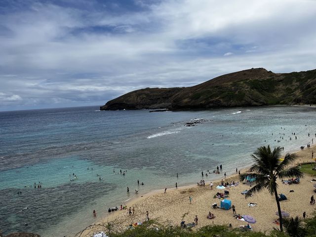 ハワイ【ハナウマ湾】大人気ビーチ🏝️
