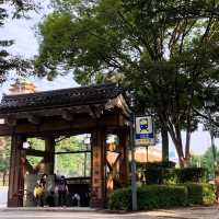 เที่ยวนาโกย่า ปราสาทนาโกย่า🏯