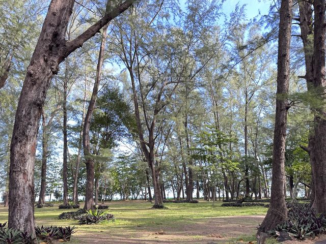 ตลาดเช้าของกินริมทะเล หาดในยาง ภูเก็ต