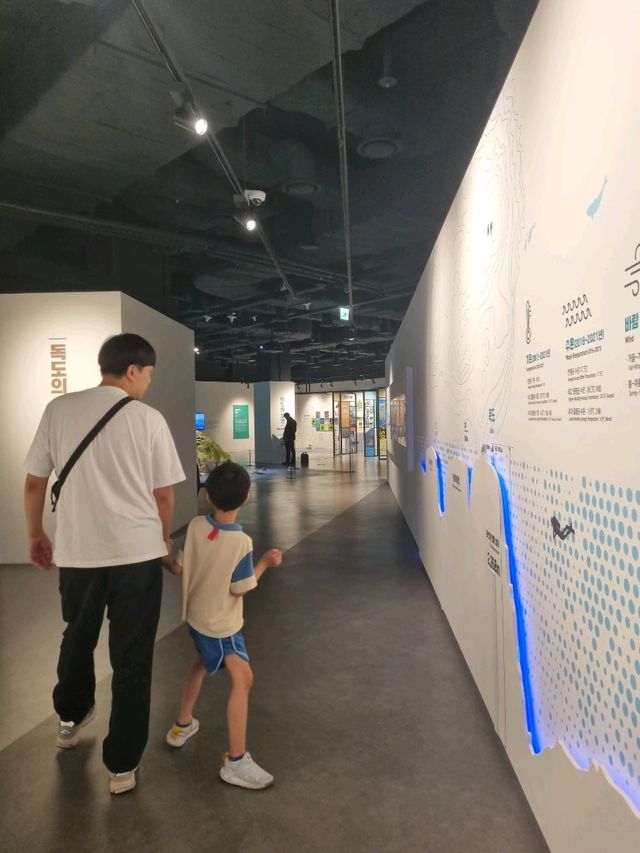 아이와 함께 독도 탐구
