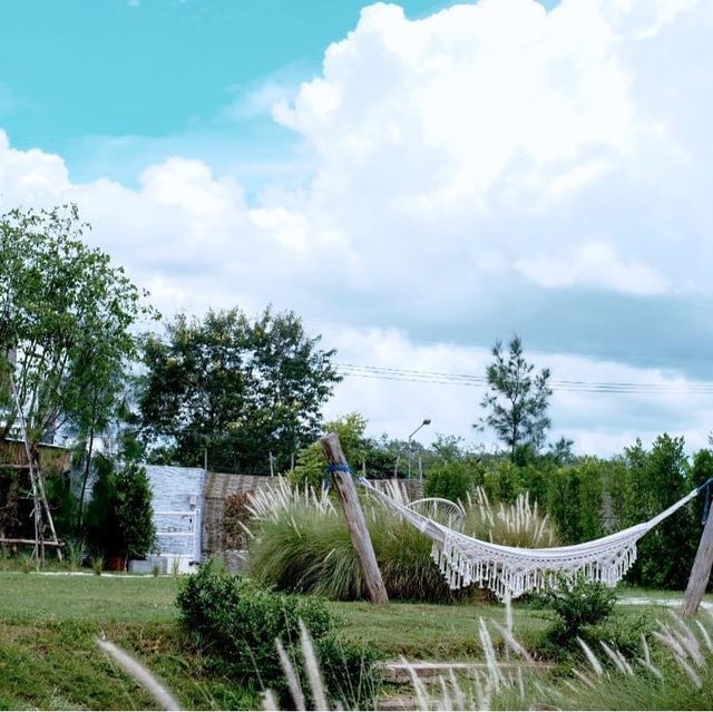 ภูสิตา คาเฟ่ แอนท์ บาร์