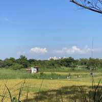 過嶺支渠休憩步道🐕