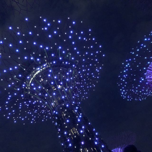 【シンガポール】近未来植物園ガーデンバイザベイ