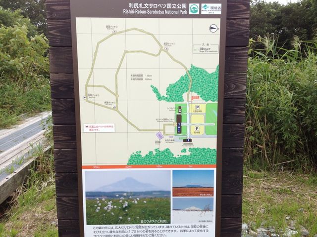 北海道　北海道観光　北海道らしい風景　サロベツ原生花園で和む！