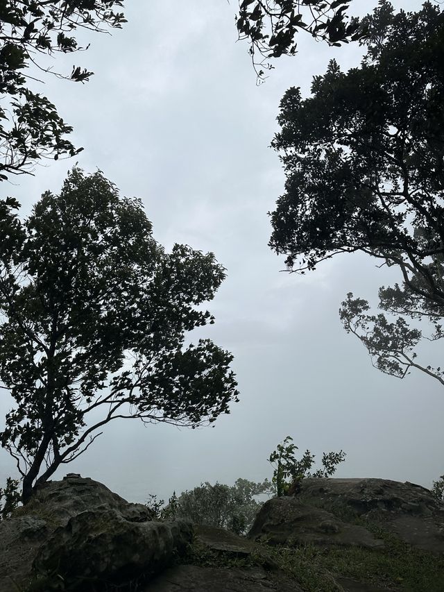 “ฮ่มหมอก บอกฮัก”อุทยานแห่งชาติภูแลนคา🌫️
