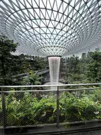 World's tallest indoor waterfall at Changi 🤩