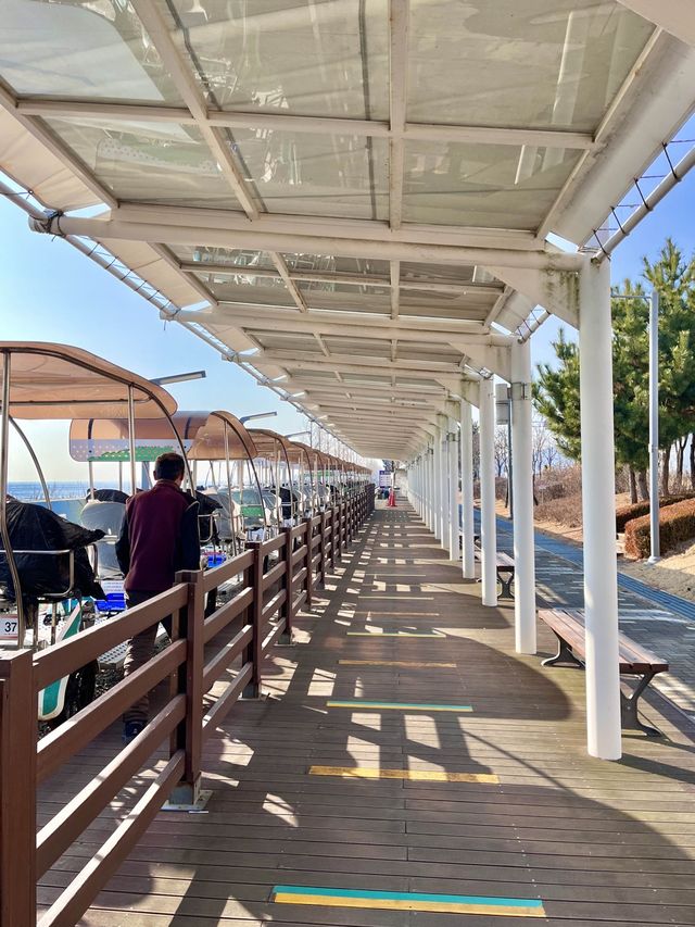 서해바다 보면서 페달 밟기! 영종도씨사이드 레일바이크🚲