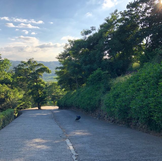 雲夢山丘☁️