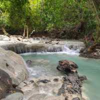 สวนรุกขชาติวังก้านเหลือง