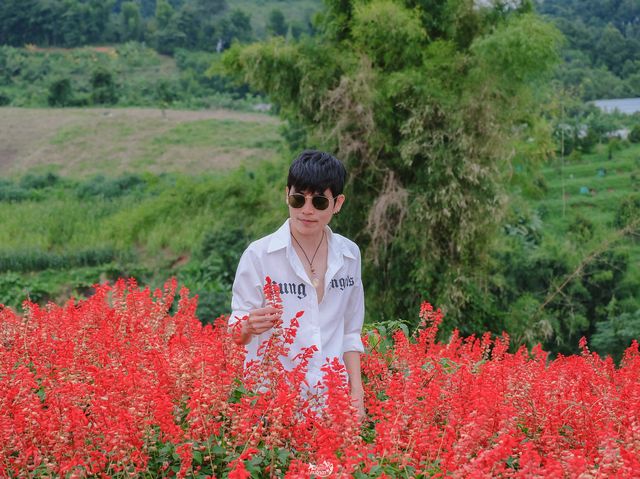 สวนดอกไม้ ป้างฮวา&สวนส้ม