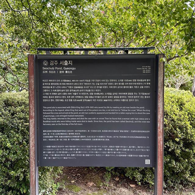 📖 신라의 역사가 담긴 평화로운 서출지 산책여행을 떠나보세요! 💚