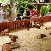 One memorable day in Lost World of Tambun 