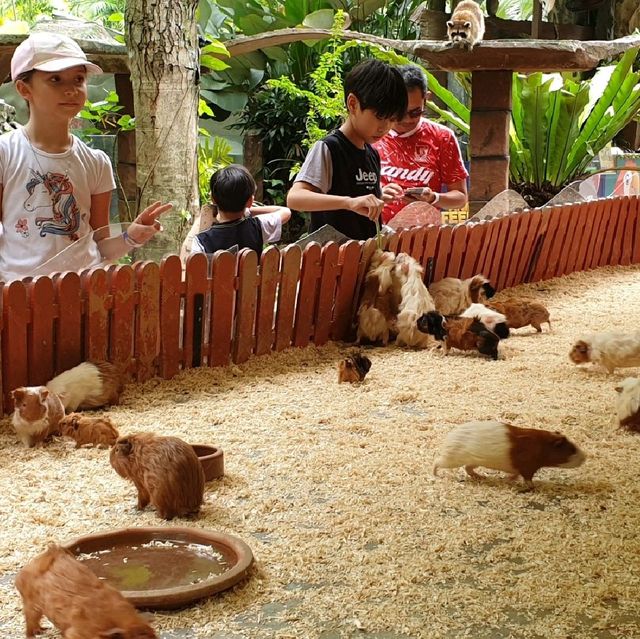 One memorable day in Lost World of Tambun 