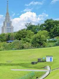 大運自然公園～與水鴨共度野餐樂趣🌳🦆🧺