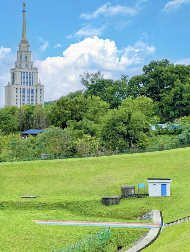 大運自然公園～與水鴨共度野餐樂趣🌳🦆🧺