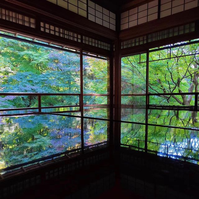 京都的瑠璃光院：穿越時空的彩色幻境 🏯🌸🌈 