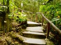 Exploring the Tarsier Sanctuary in Bohol