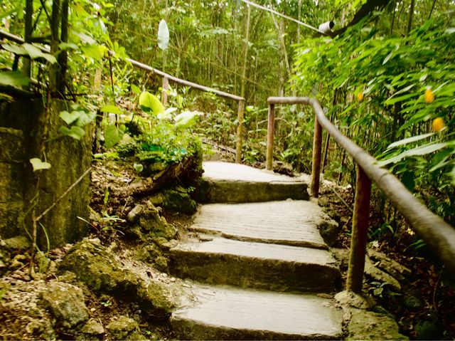 Exploring the Tarsier Sanctuary in Bohol