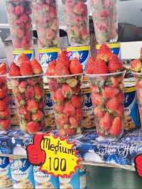 La Trinidad Strawberry Farm