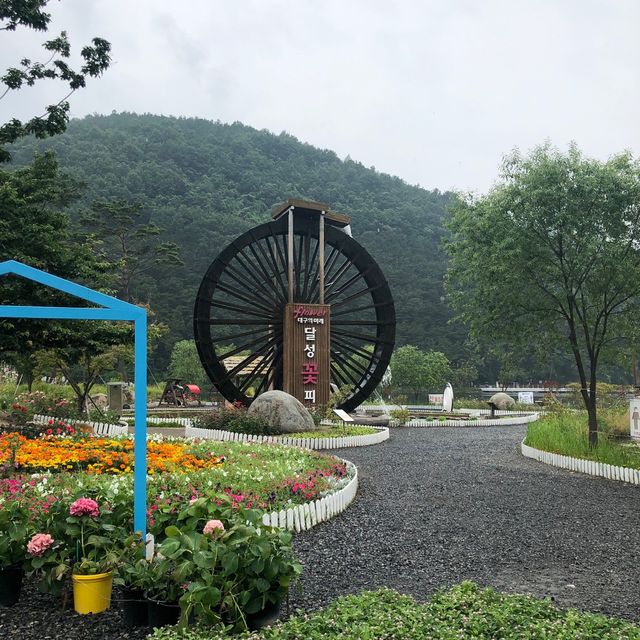대구 근교 여행지 추천💘옥연지 송해공원 함께 걸어요🎵