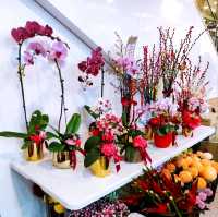 Simply Flowers for Lunar Rabbit Year 