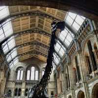 Natural History Museum - London