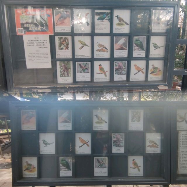 百鳥園林~別有洞天~特色藍白旋轉梯