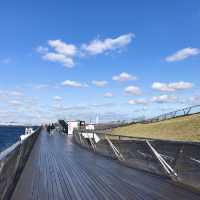 横浜の風景を堪能できるおすすめスポット【横浜港大さん橋】