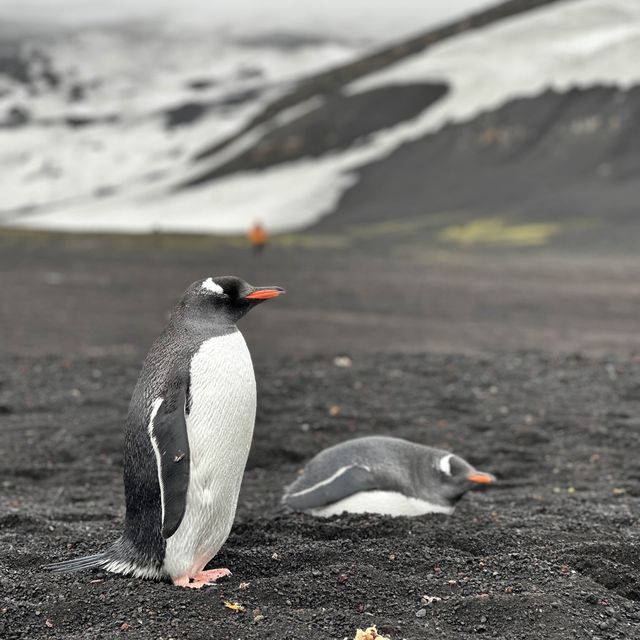 Deception Island near Antarctic Peninsula