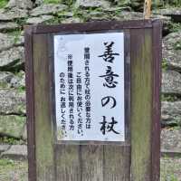 和歌山城 🏰 