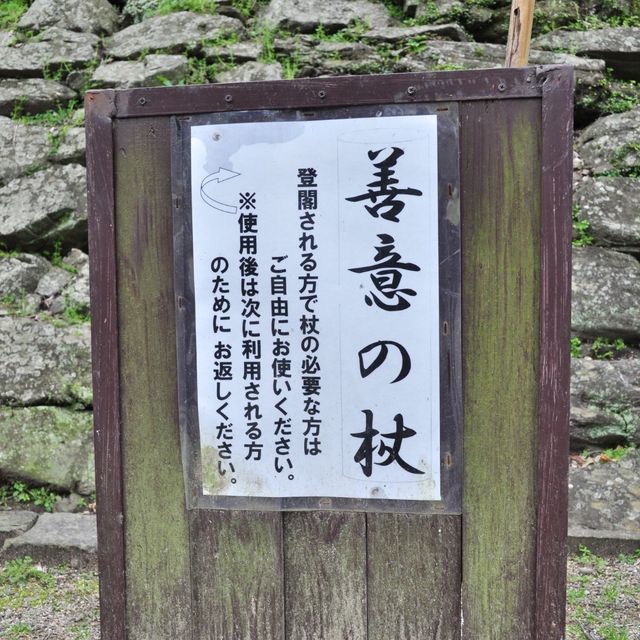 和歌山城 🏰 