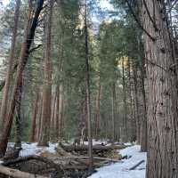 Yosemite NP : )