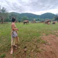 Elephant Nature Park ศูนย์อภิบาลช้าง 🐘