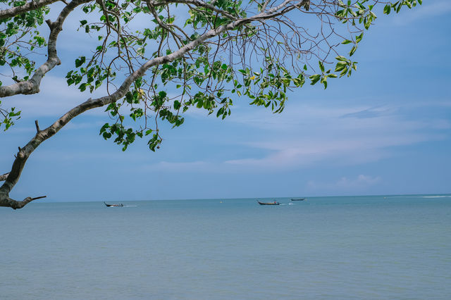 ✅Tew Lay Bar บาร์สุดชิล @ไร่เลย์ Krabi 