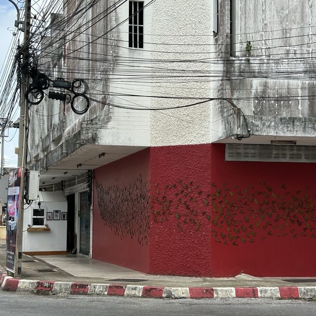 ชุมชนอาเนาะซูงา ✨ งานสตรีทปัตตานี 🏘️📸⏳