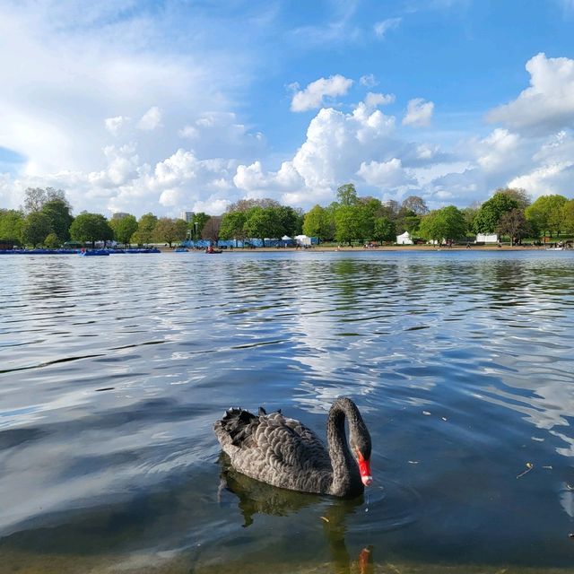 Hidden Gem in London - Hyde Park