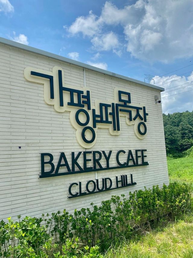 서울근교 가평 양떼목장!