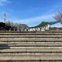 横浜【港の見える丘公園】イングリッシュ・ローズの庭