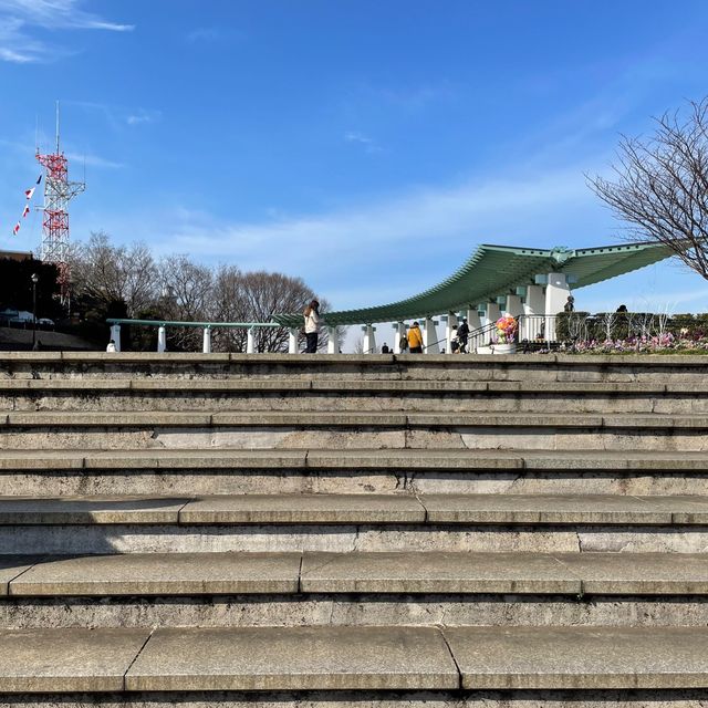 横浜【港の見える丘公園】イングリッシュ・ローズの庭