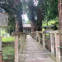 山中温泉　【栢野の大杉 (かやののおおすぎ)]