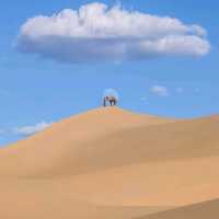 beautiful gobi desert. 